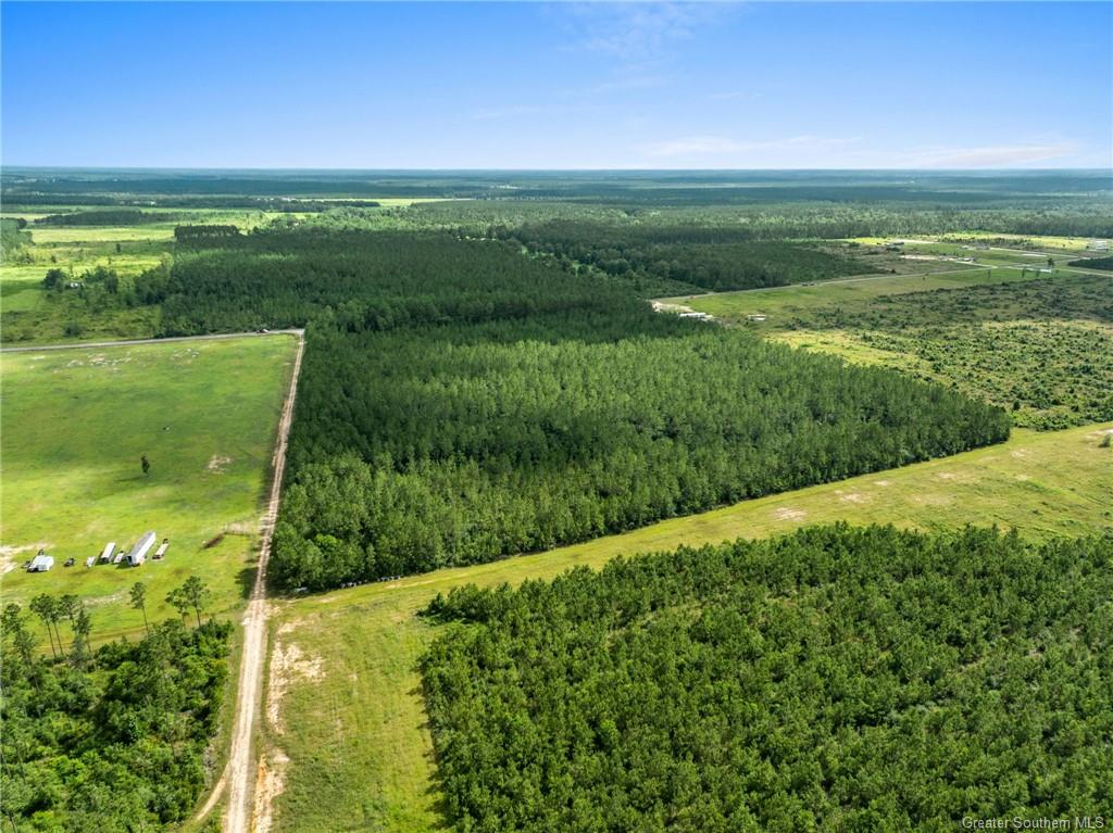 0 Rea Road Deridder, LA 70634 - Photo 7 of 8