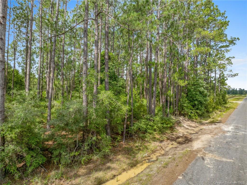 0 Rea Road Deridder, LA 70634 - Photo 8 of 8