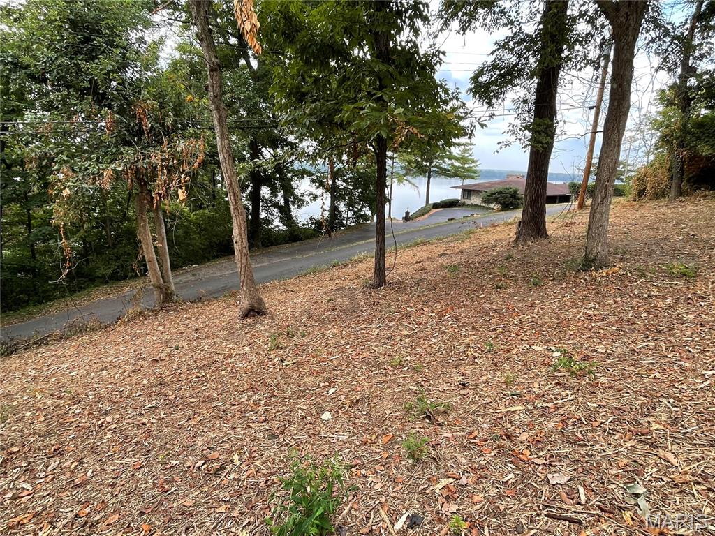 3100 Illini Trail Godfrey, IL 62035 - Photo 3 of 5