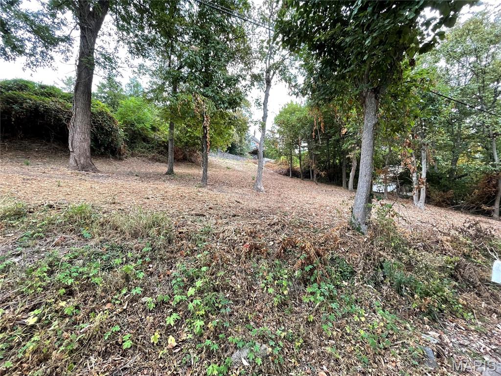 3100 Illini Trail Godfrey, IL 62035 - Photo 4 of 5