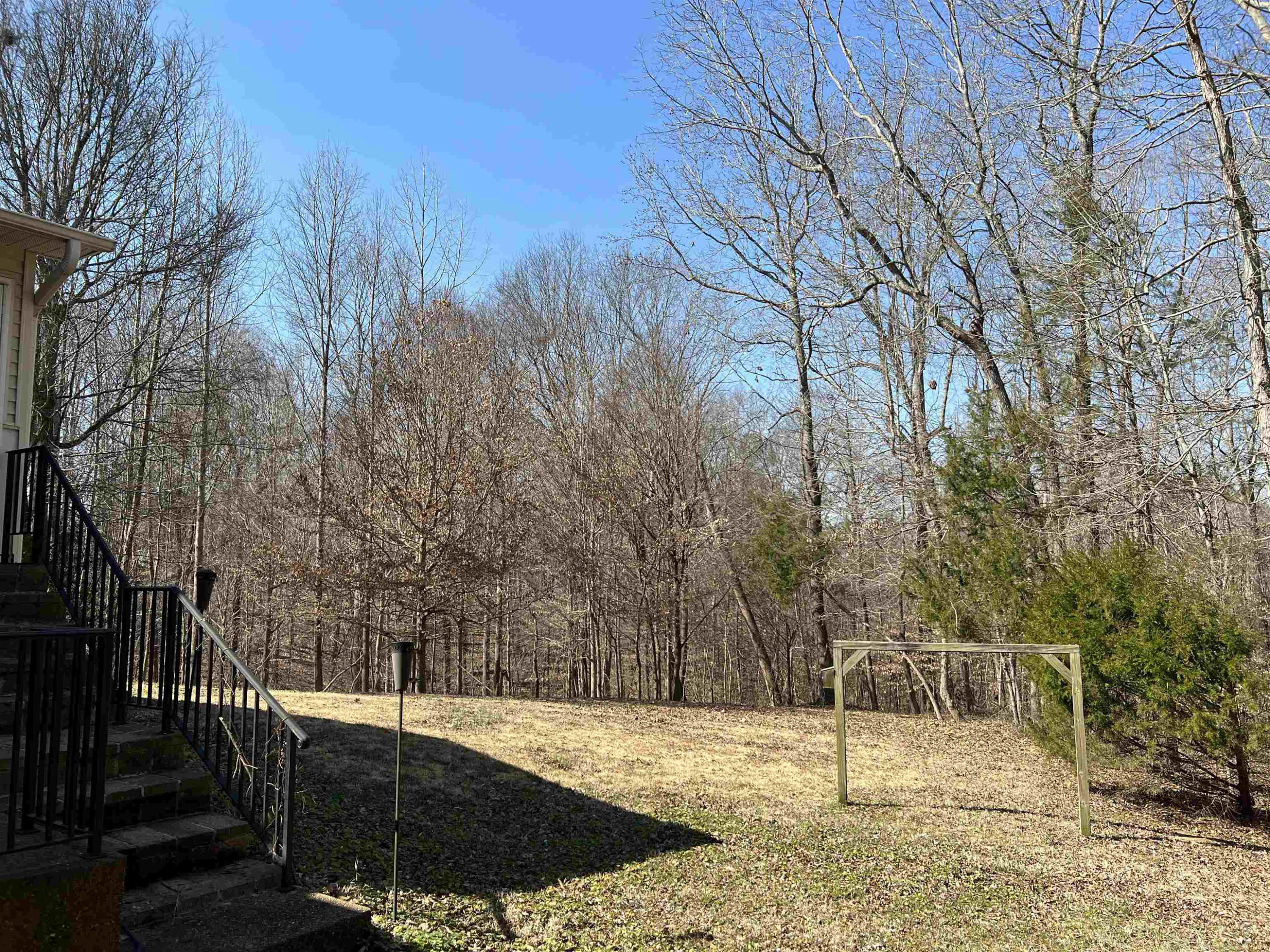 104 Obrien Road Cedar Grove, TN 38321 - Photo 3 of 15 Photo 3