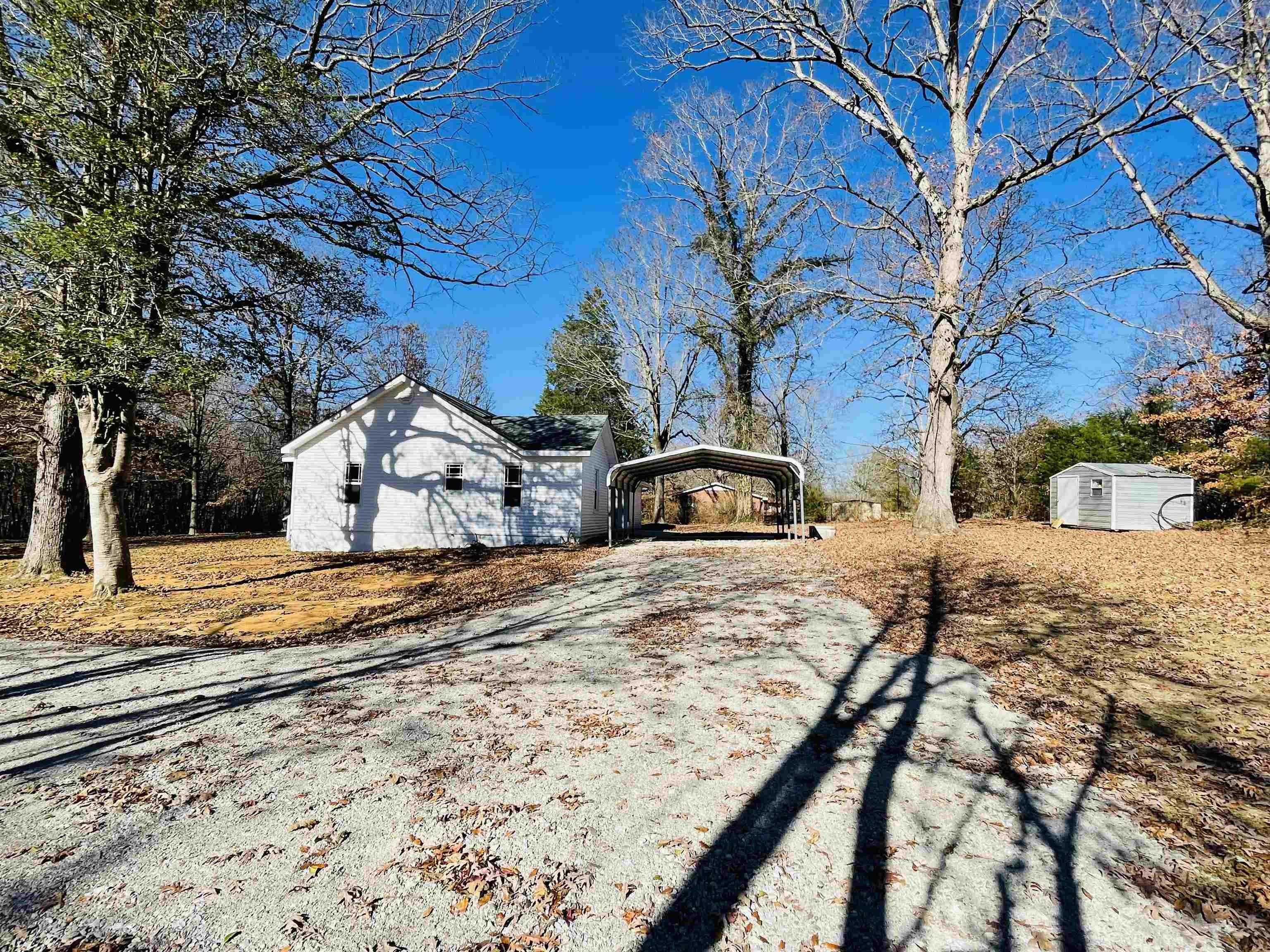 6490 Highway 226 Savannah, TN 38372 - Photo 19 of 38 a view of a yard with a tree