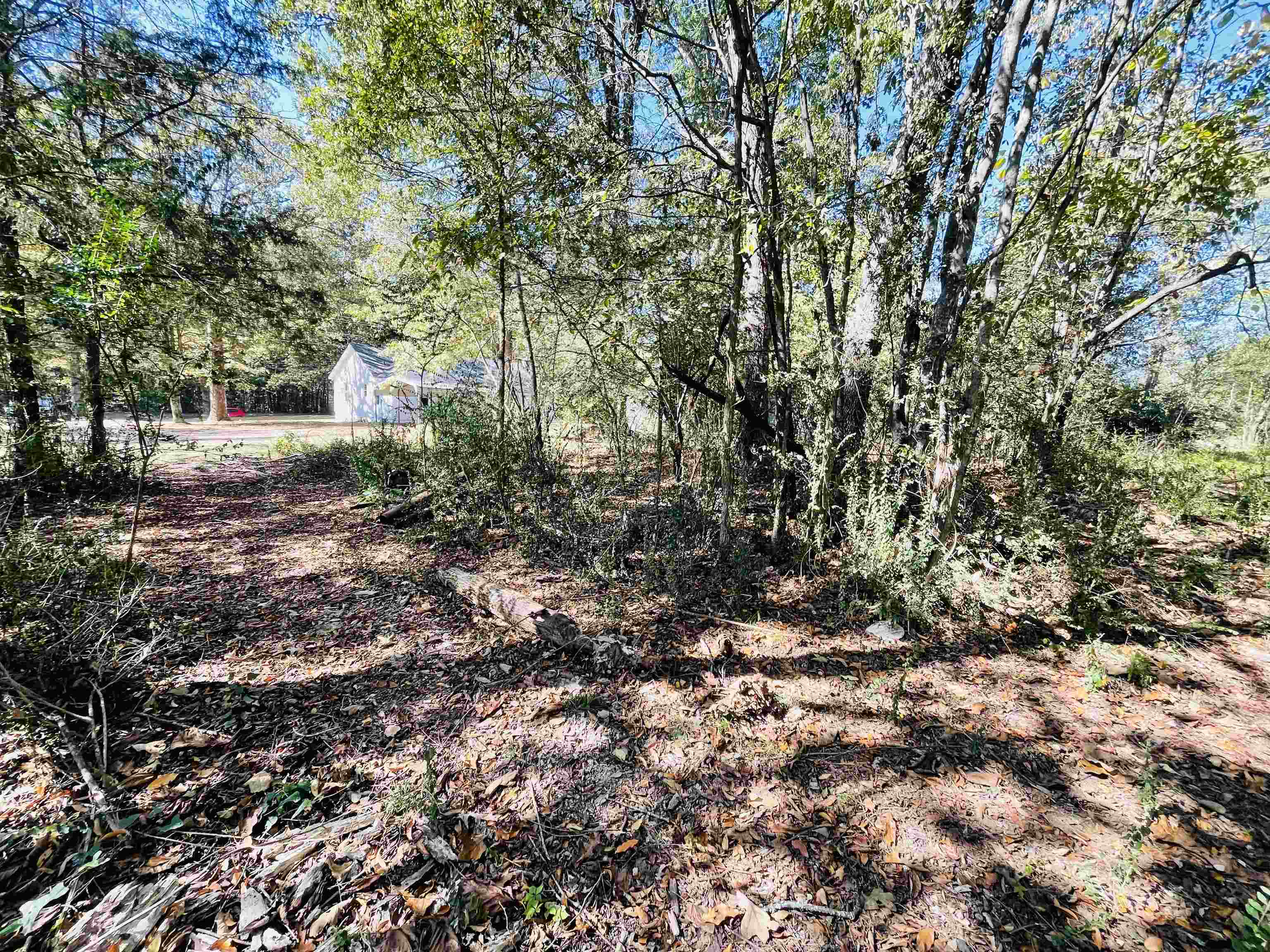 6490 Highway 226 Savannah, TN 38372 - Photo 24 of 38 a big yard with lots of green space and house