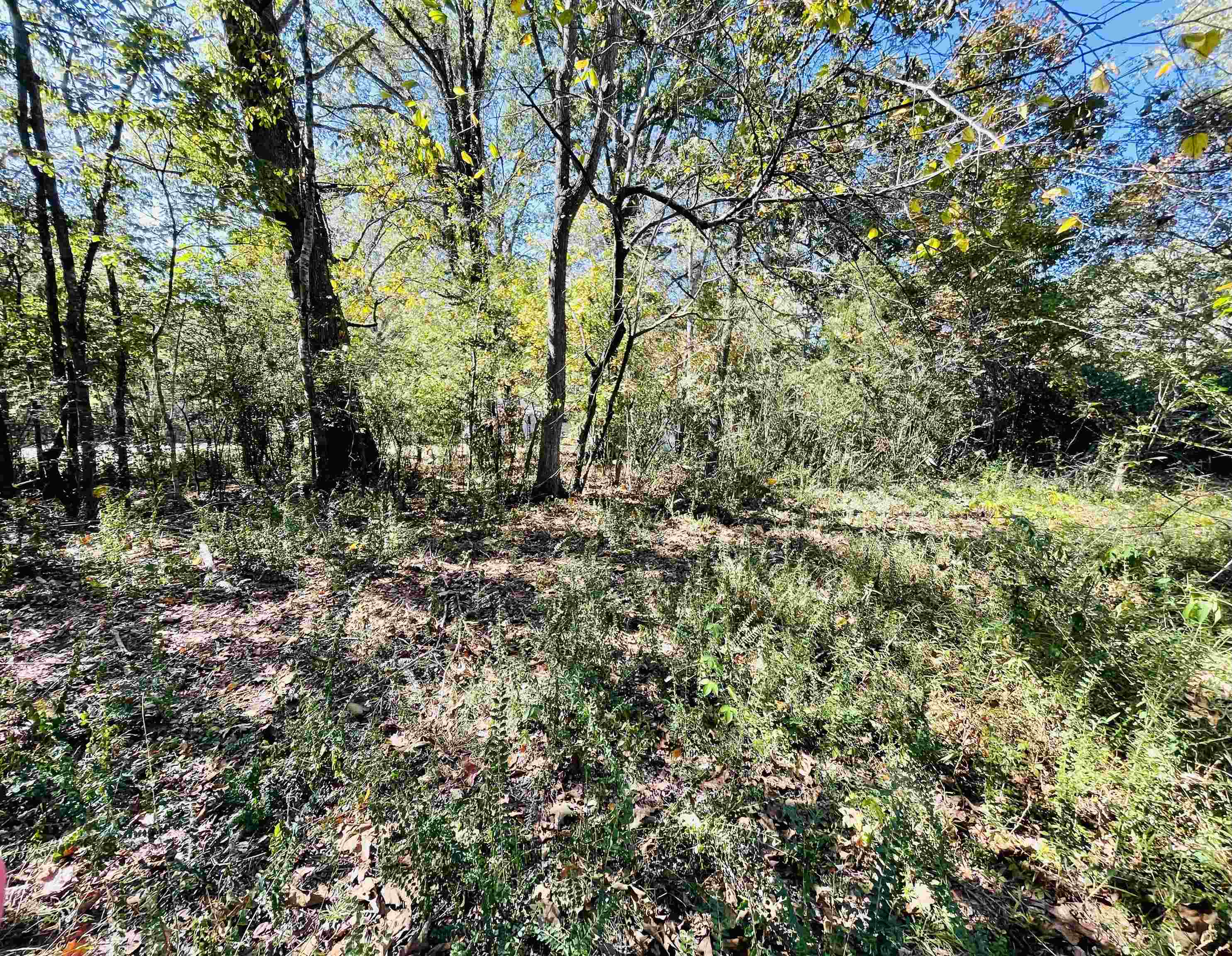 6490 Highway 226 Savannah, TN 38372 - Photo 28 of 38