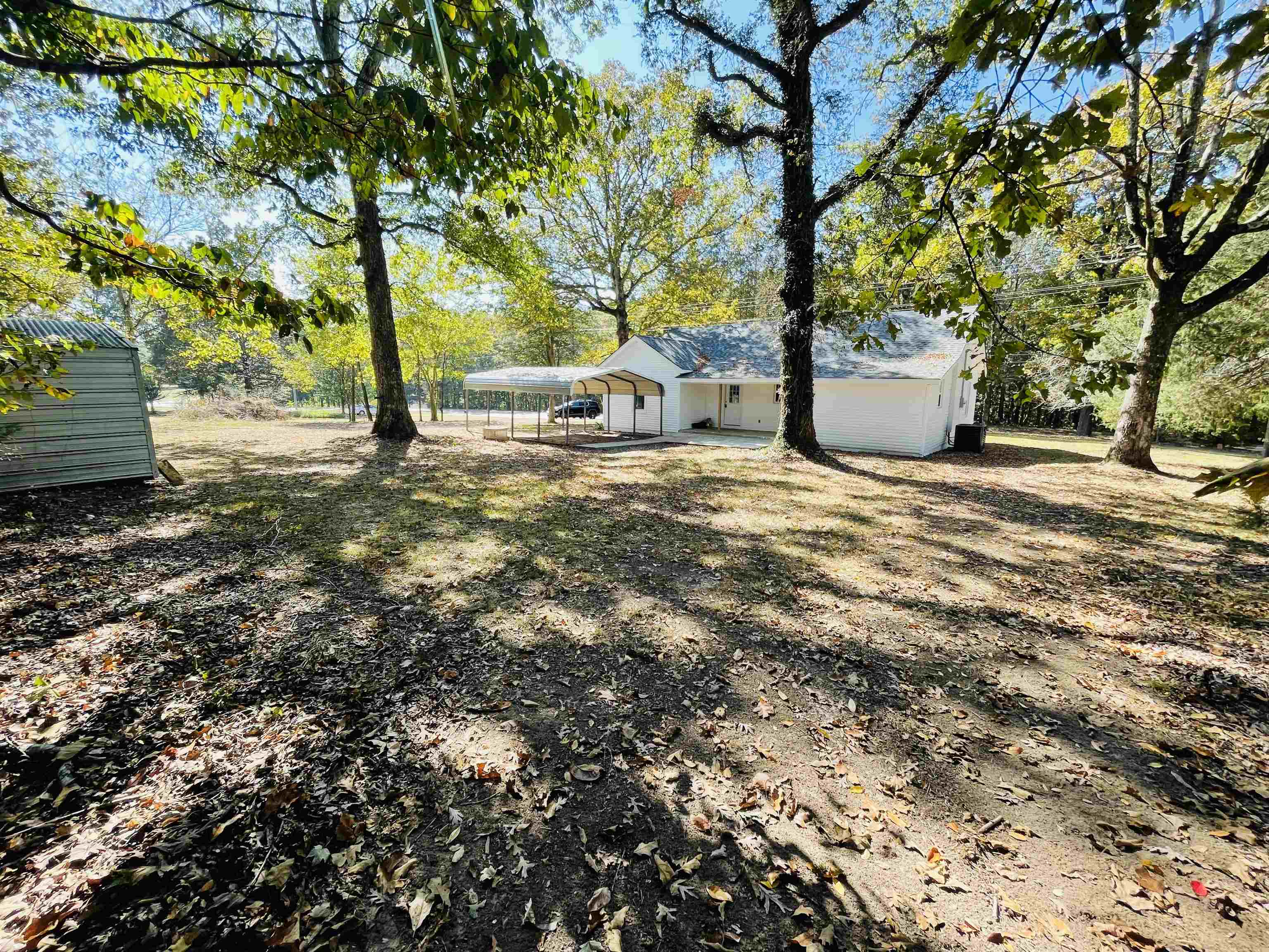 6490 Highway 226 Savannah, TN 38372 - Photo 5 of 38 a view of yard with tree s