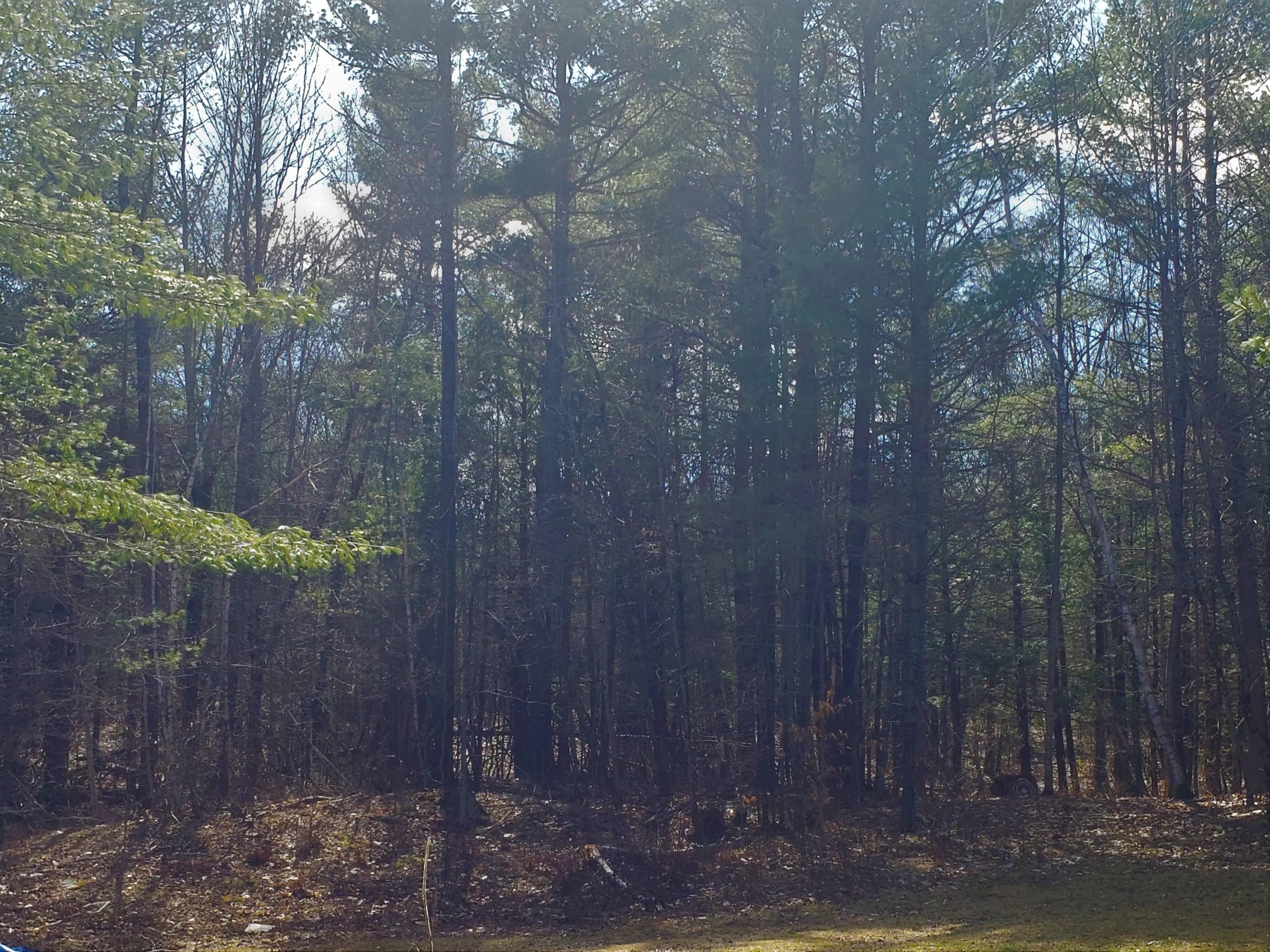 Lot 41-cdef Lot 41-cdef China Road Winslow, ME 04901 - Photo 10 of 17 41-E 1