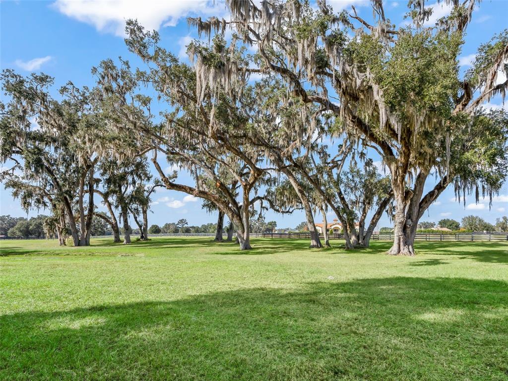 12450 Southwest 140th Loop Dunnellon, FL 34432 - Photo 62 of 64 Gallery Image 62