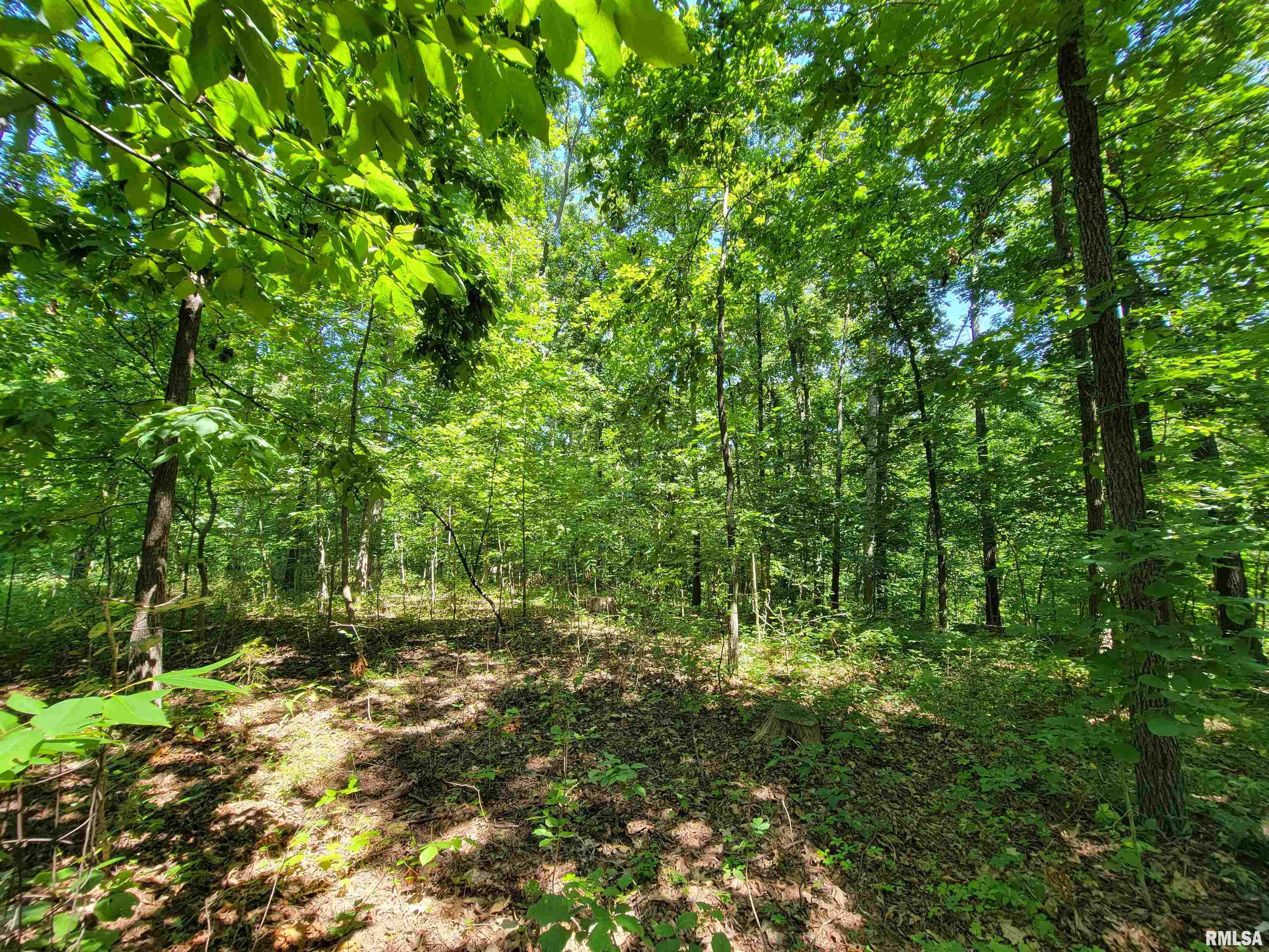 96 Forest Drive Flora, IL 62839 - Photo 22 of 89