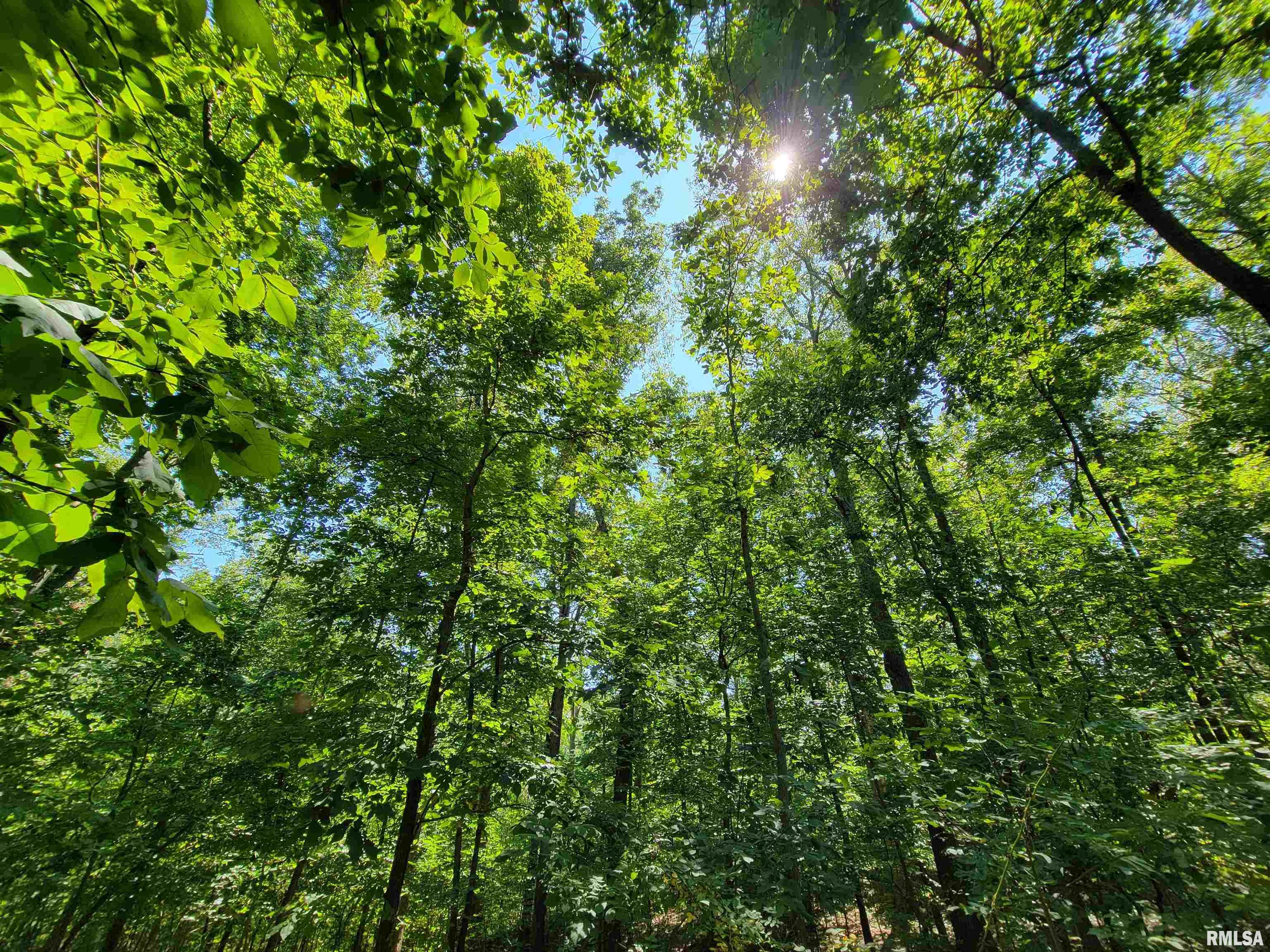 96 Forest Drive Flora, IL 62839 - Photo 23 of 89