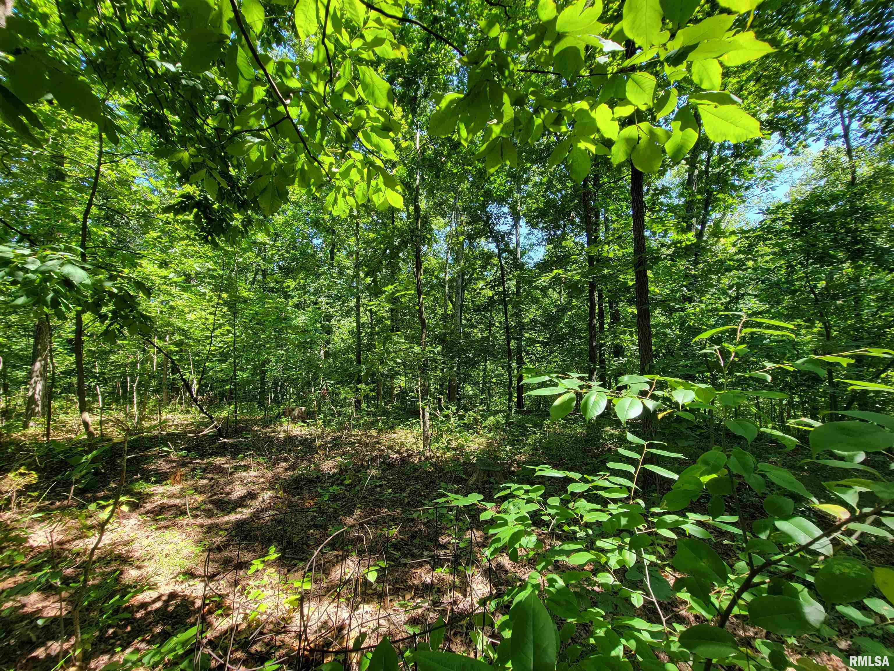 96 Forest Drive Flora, IL 62839 - Photo 24 of 89