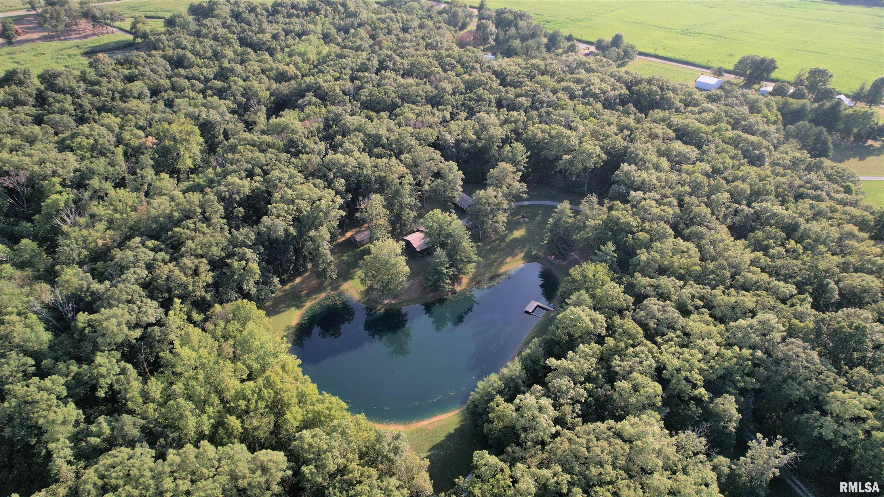 96 Forest Drive Flora, IL 62839 - Photo 7 of 89