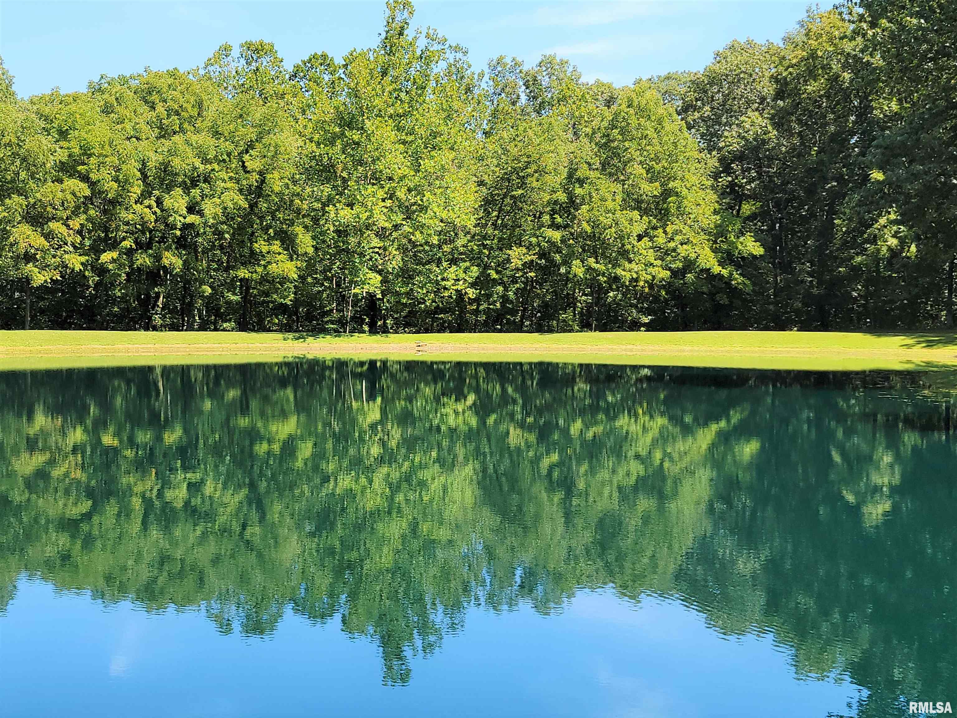 96 Forest Drive Flora, IL 62839 - Photo 88 of 89