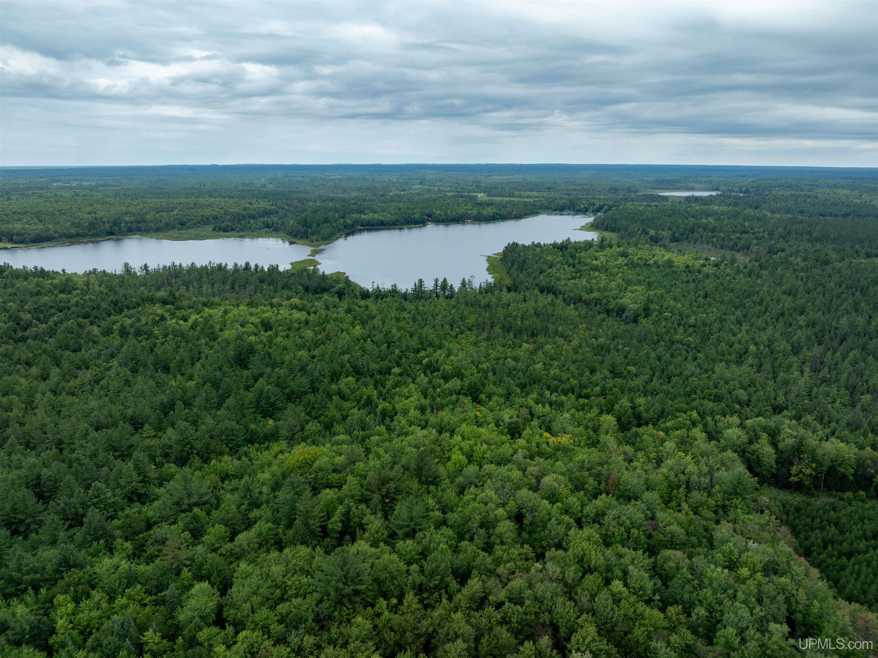 Tbd Round Lake Road Munising, MI 49862 - Photo 2 of 13