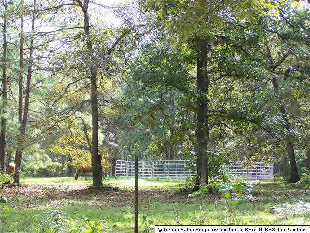 Tract D-2 Nesom Road Clinton, LA 70722 - Photo 1 of 2 Gallery Image 1