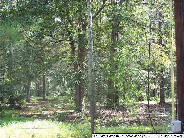Tract D-2 Nesom Road Clinton, LA 70722 - Photo 2 of 2 Gallery Image 2