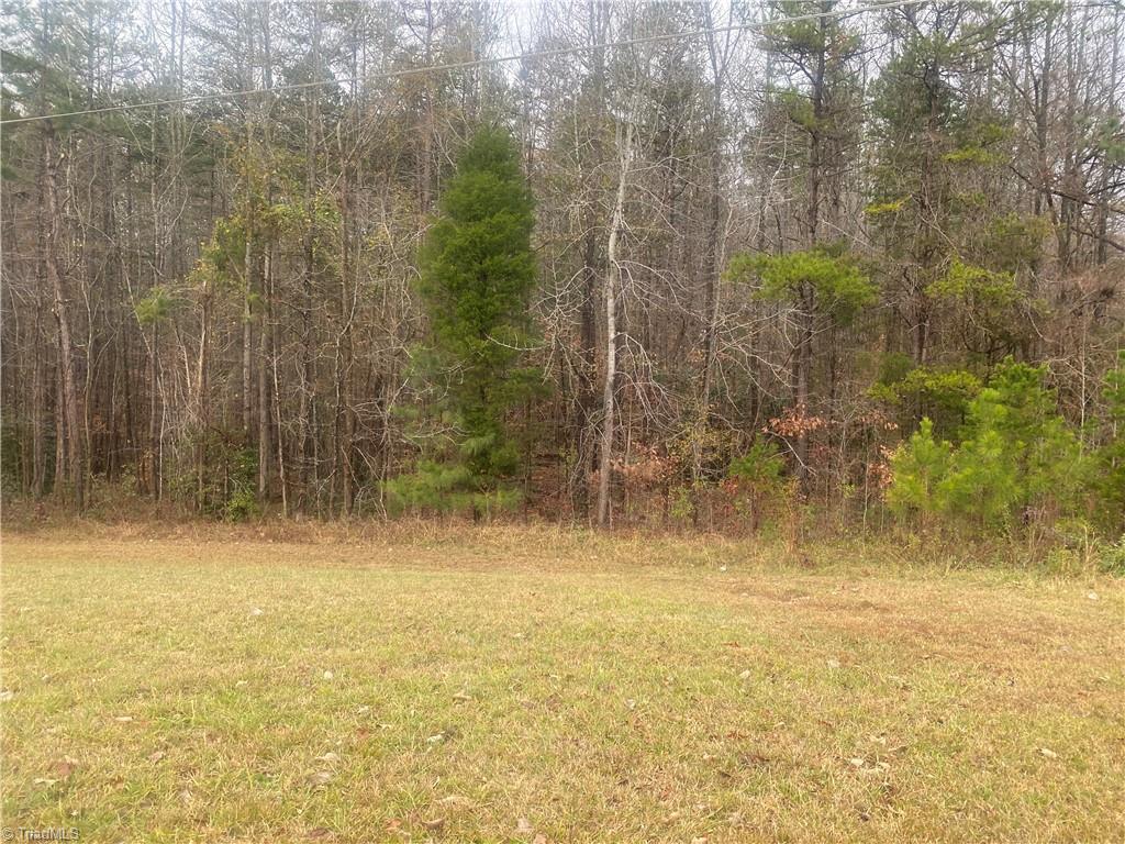 Tbd Moose Lodge Road Lexington, NC 27295 - Photo 1 of 4 Gallery Image 1