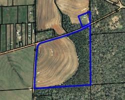 Lot 4 Chipola Road Dothan, AL 36305 - Photo 3 of 4
