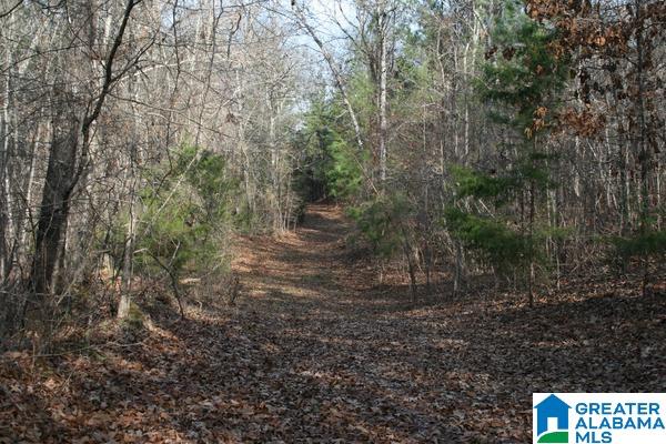 545 Chinnabee Road, Unit 24 ACRES Munford, AL 36268 - Photo 3 of 6