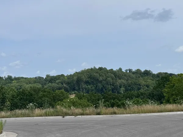 $107,500 | Lot 38 Madison Heights Drive, Onalaska, WI 54650