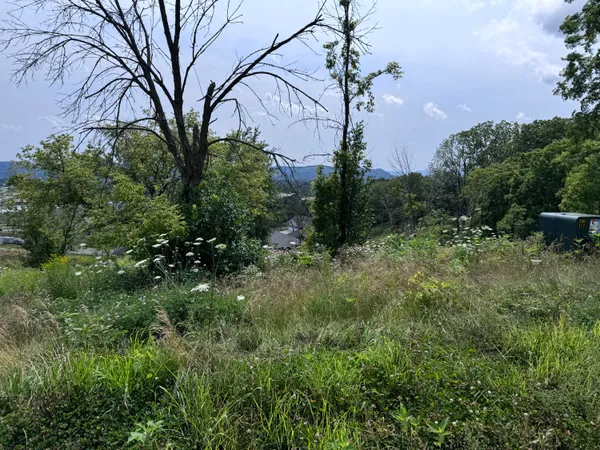 $107,500 | Lot 38 Madison Heights Drive, Onalaska, WI 54650
