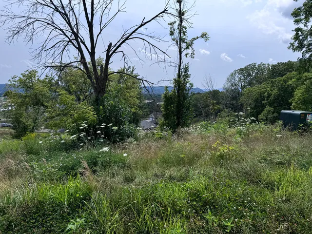 $107,500 | Lot 38 Madison Heights Drive, Onalaska, WI 54650