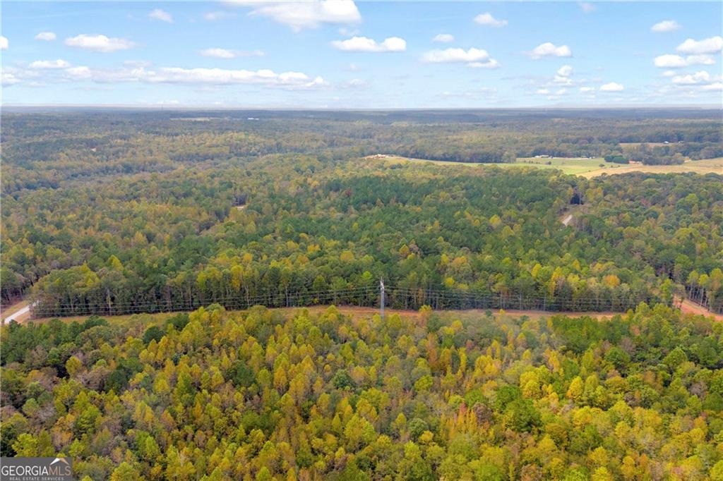 0 Curry Farm Road Jefferson, GA 30549 - Photo 13 of 26