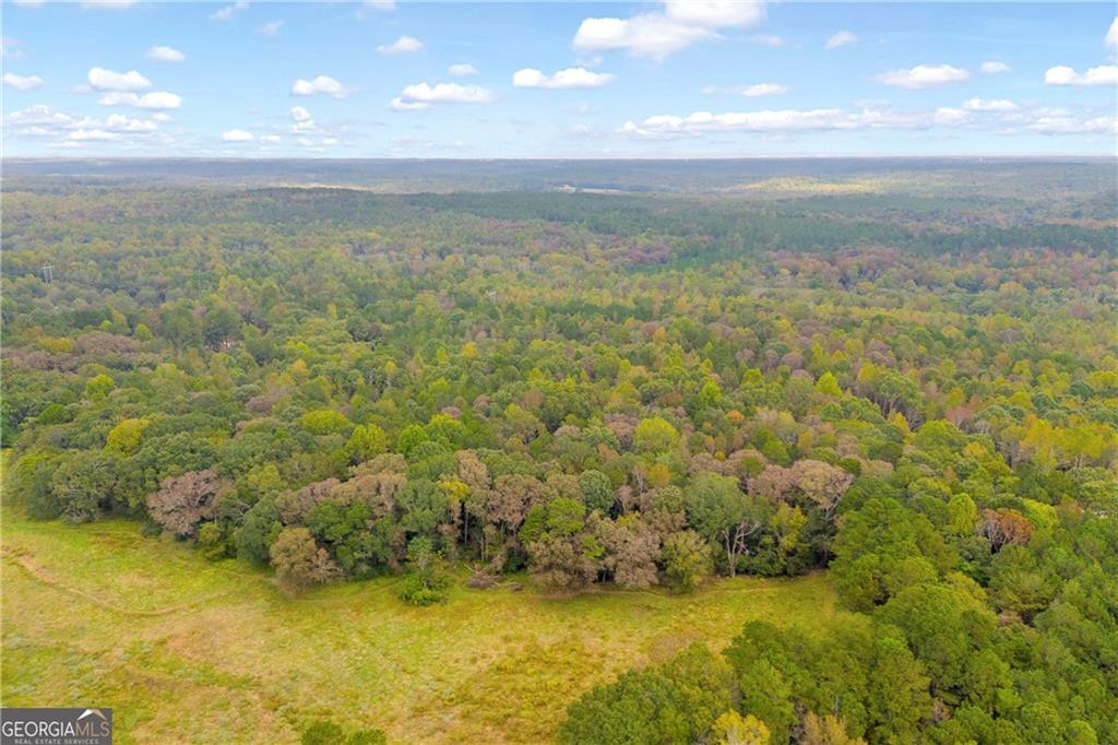 0 Curry Farm Road Jefferson, GA 30549 - Photo 18 of 26