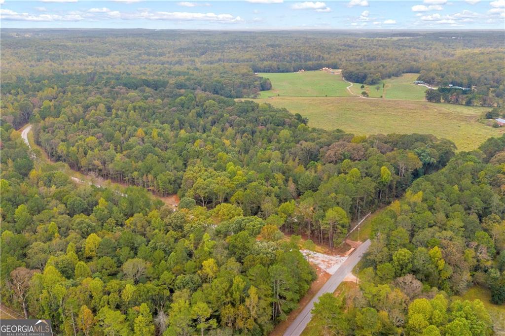 0 Curry Farm Road Jefferson, GA 30549 - Photo 21 of 26