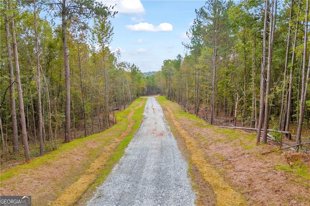 0 Curry Farm Road Jefferson, GA 30549 - Photo 25 of 26