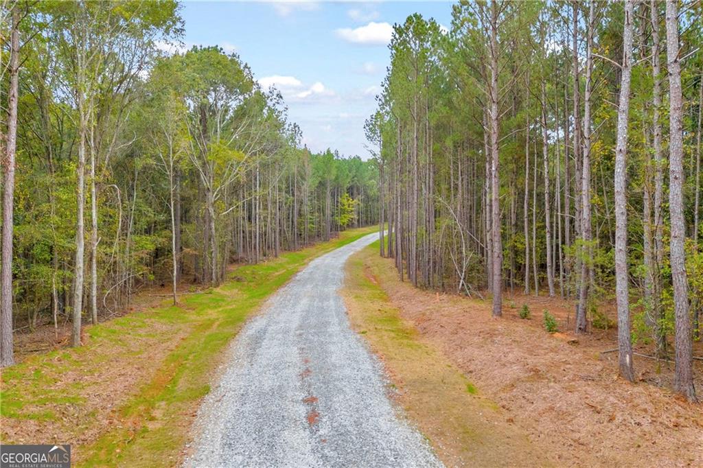 0 Curry Farm Road Jefferson, GA 30549 - Photo 26 of 26