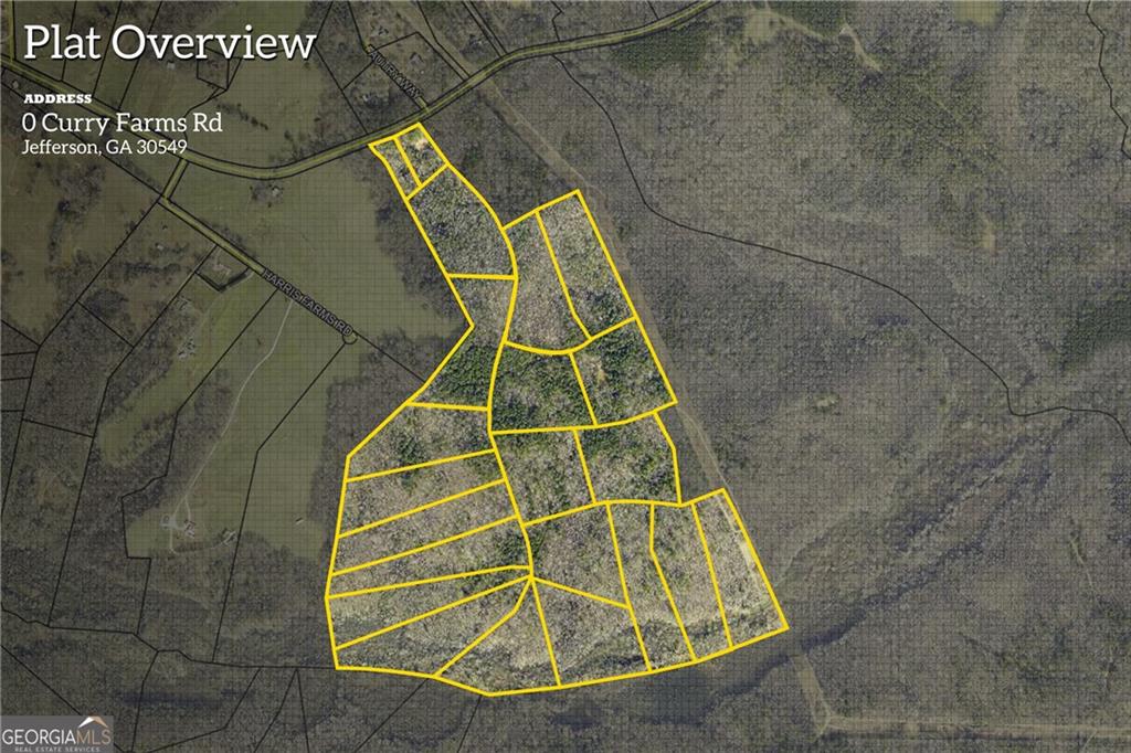 0 Curry Farm Road Jefferson, GA 30549 - Photo 3 of 26