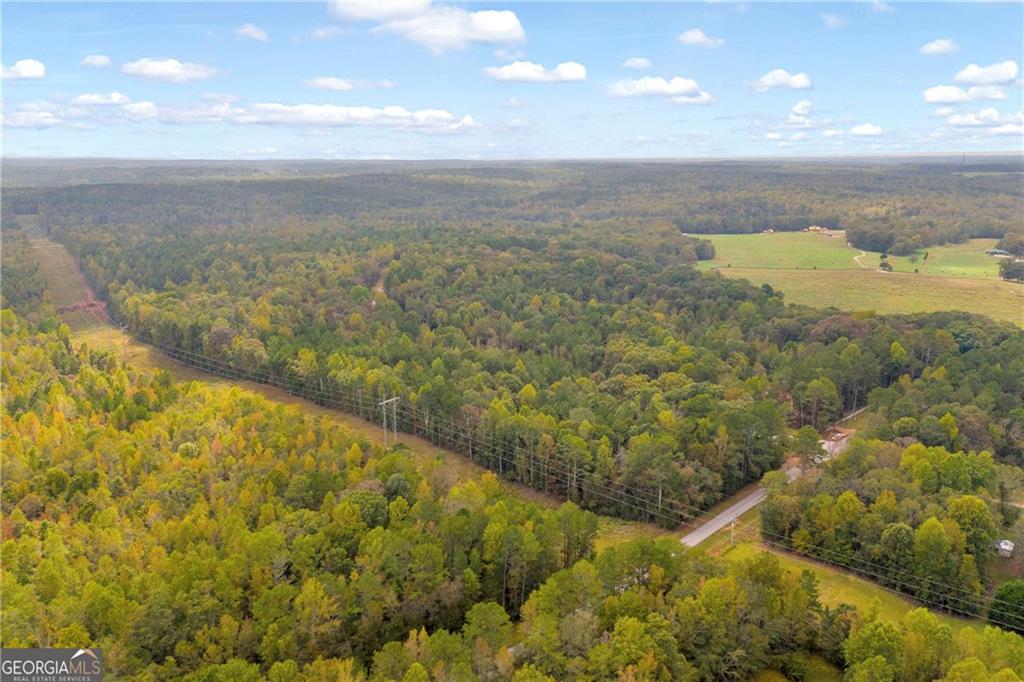 0 Curry Farm Road Jefferson, GA 30549 - Photo 6 of 26
