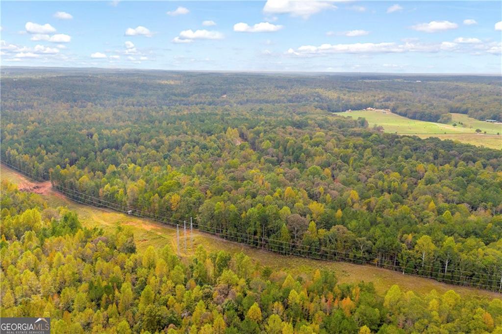 0 Curry Farm Road Jefferson, GA 30549 - Photo 7 of 26