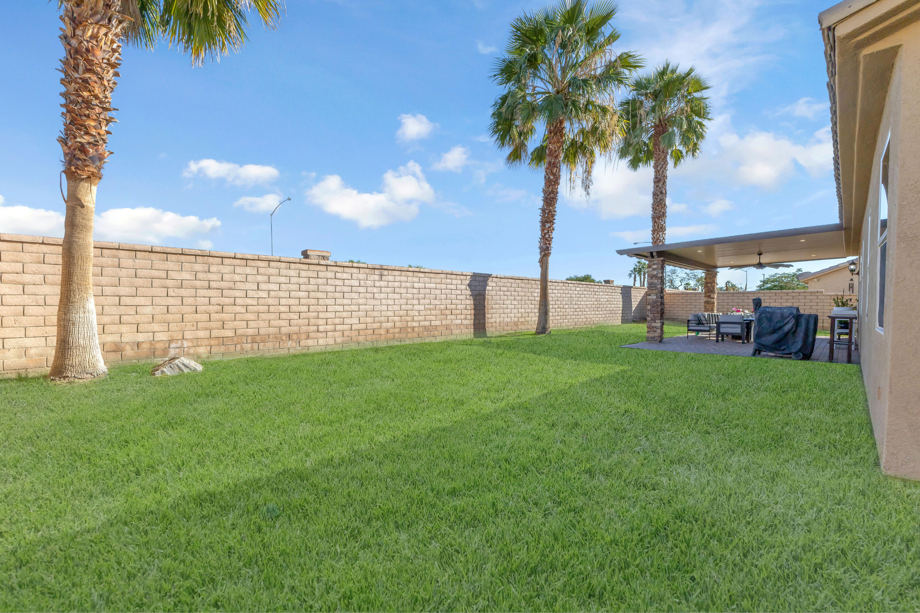 41394 Hanover Street Indio, CA 92203 - Photo 10 of 19 a view of a garden with a tree
