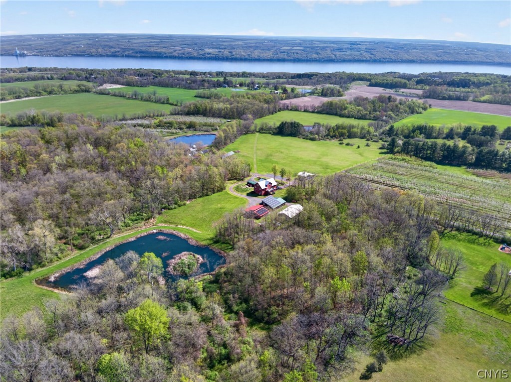 4675 Seneca Road Covert, NY 14886 - Photo 2 of 50