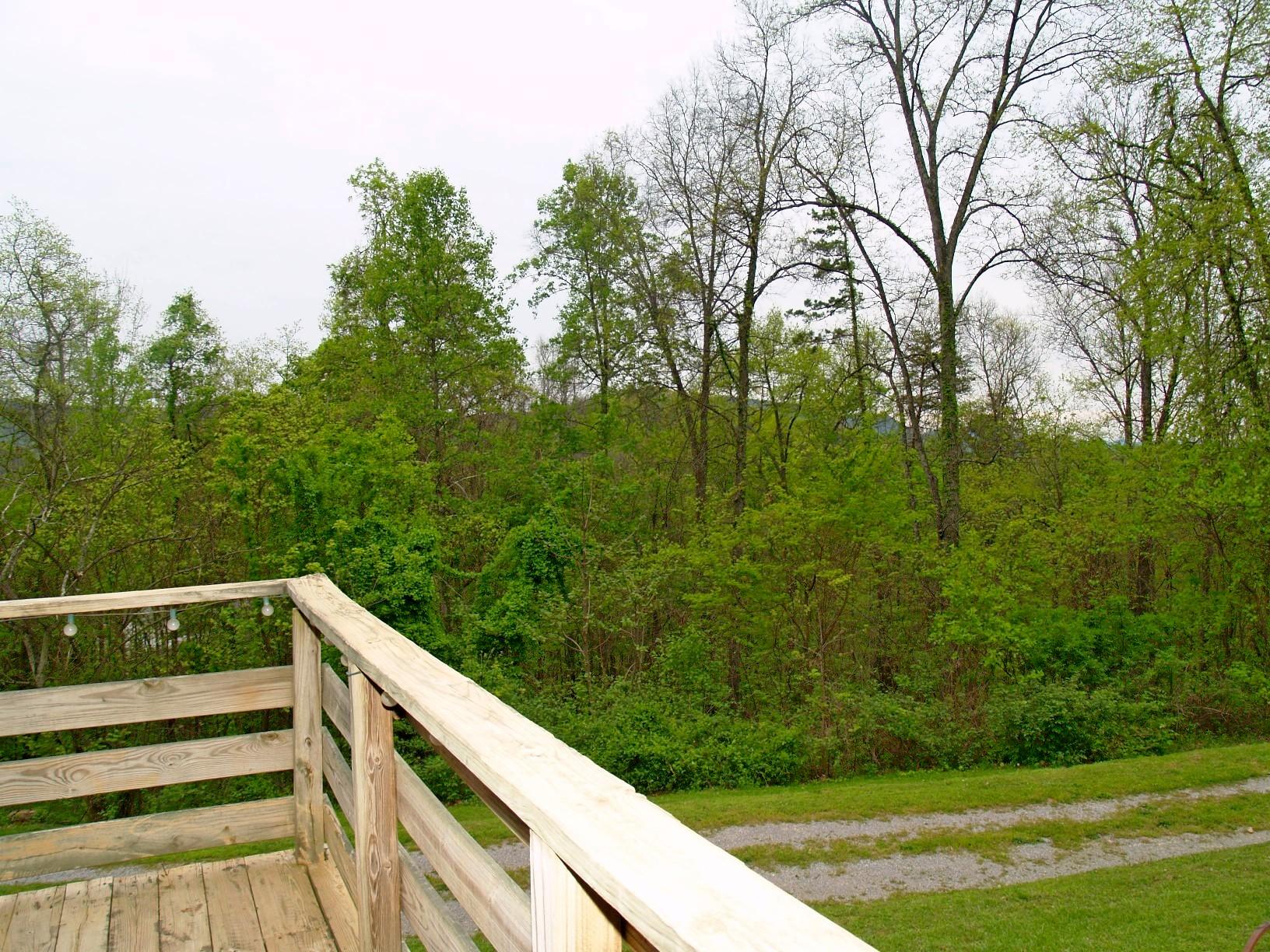 459 Warwick Chapel Road Luttrell, TN 37779 - Photo 14 of 32 22_deck2