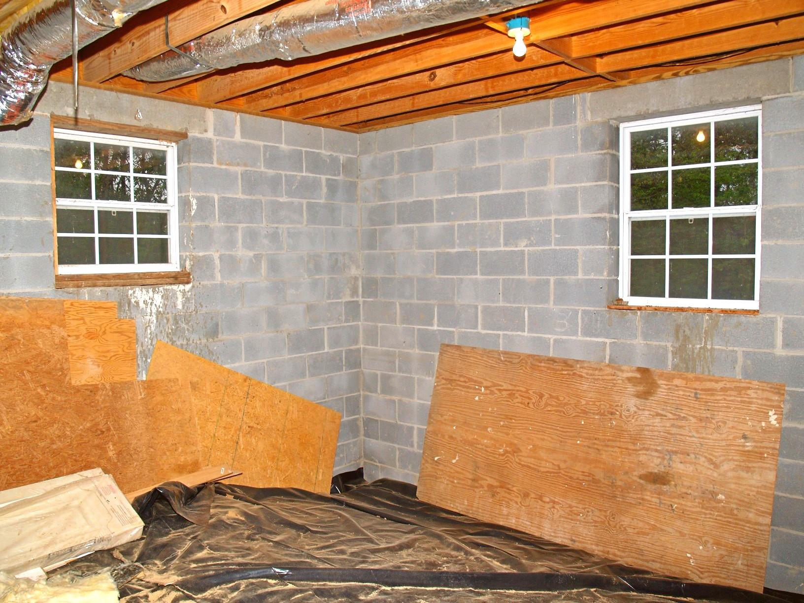 459 Warwick Chapel Road Luttrell, TN 37779 - Photo 23 of 32 31_basement2
