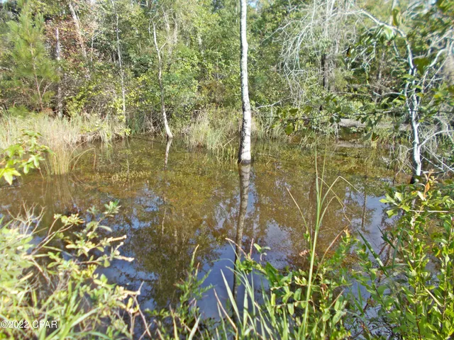 $160,000 | 0 Perry Road, Cottondale, FL 32431