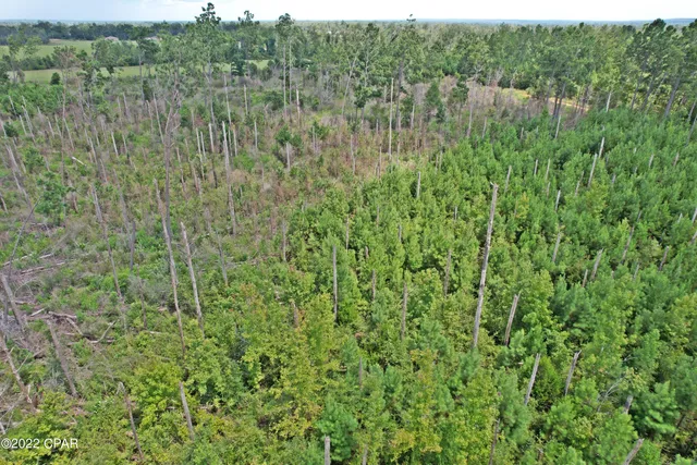 $160,000 | 0 Perry Road, Cottondale, FL 32431