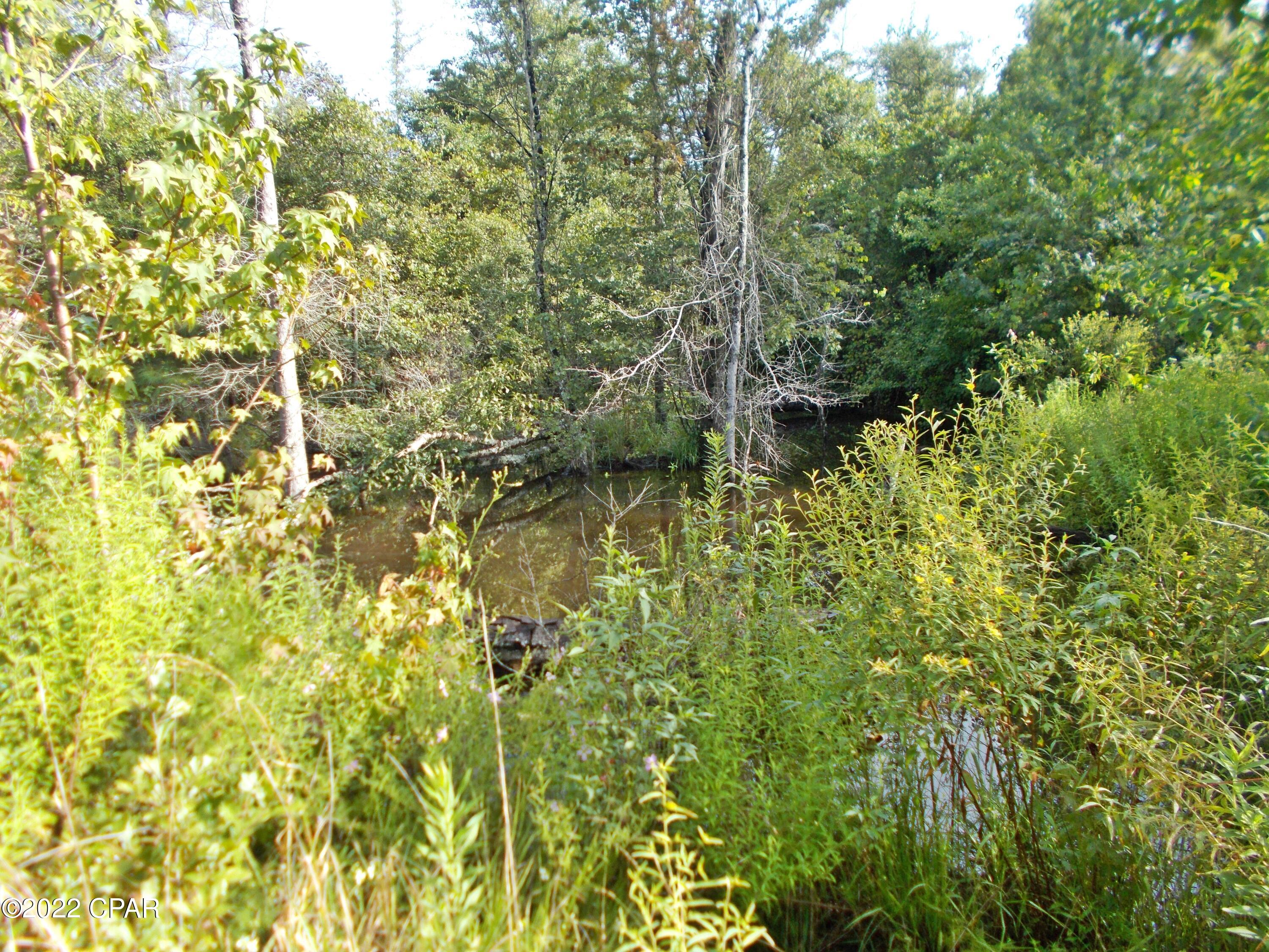 0 Perry Road Cottondale, FL 32431 - Photo 13 of 17