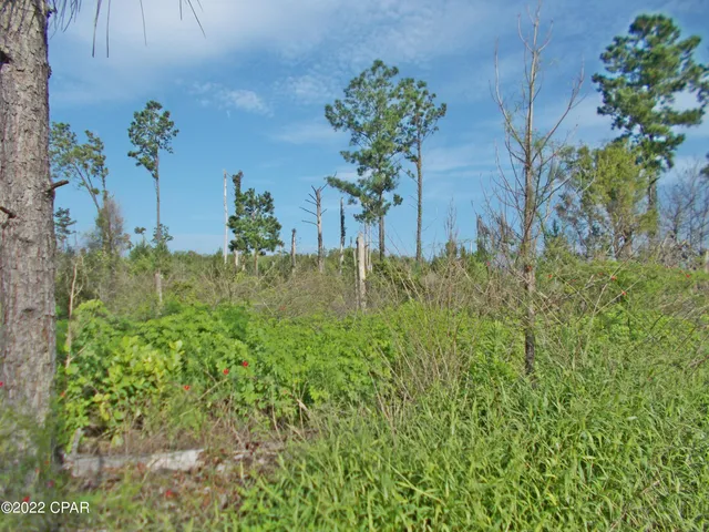 $160,000 | 0 Perry Road, Cottondale, FL 32431