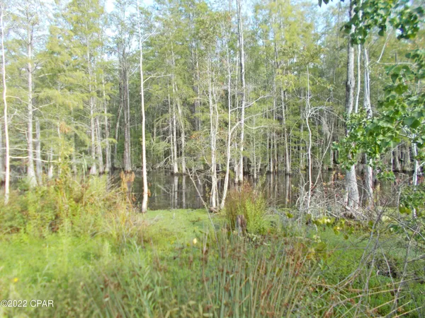 $160,000 | 0 Perry Road, Cottondale, FL 32431