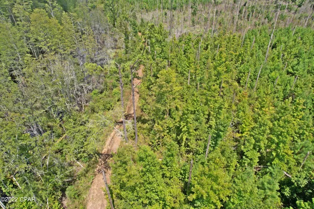 $160,000 | 0 Perry Road, Cottondale, FL 32431