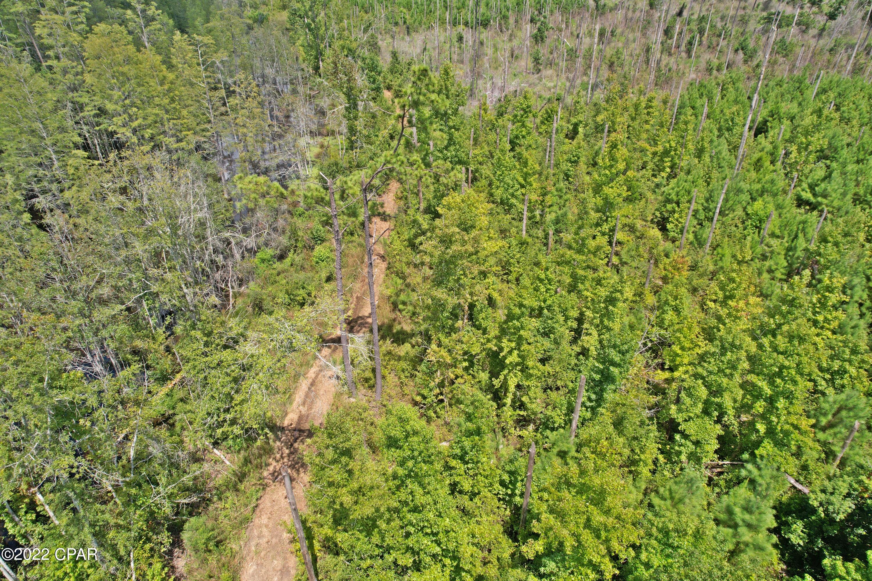 0 Perry Road Cottondale, FL 32431 - Photo 16 of 17