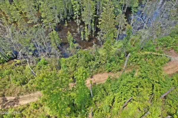 $160,000 | 0 Perry Road, Cottondale, FL 32431