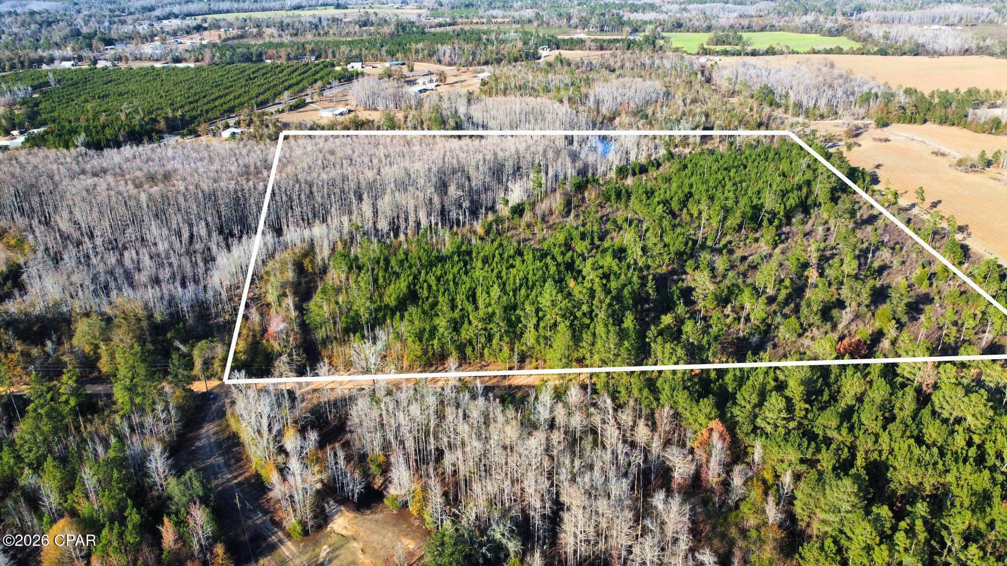 0 Perry Road Cottondale, FL 32431 - Photo 3 of 17