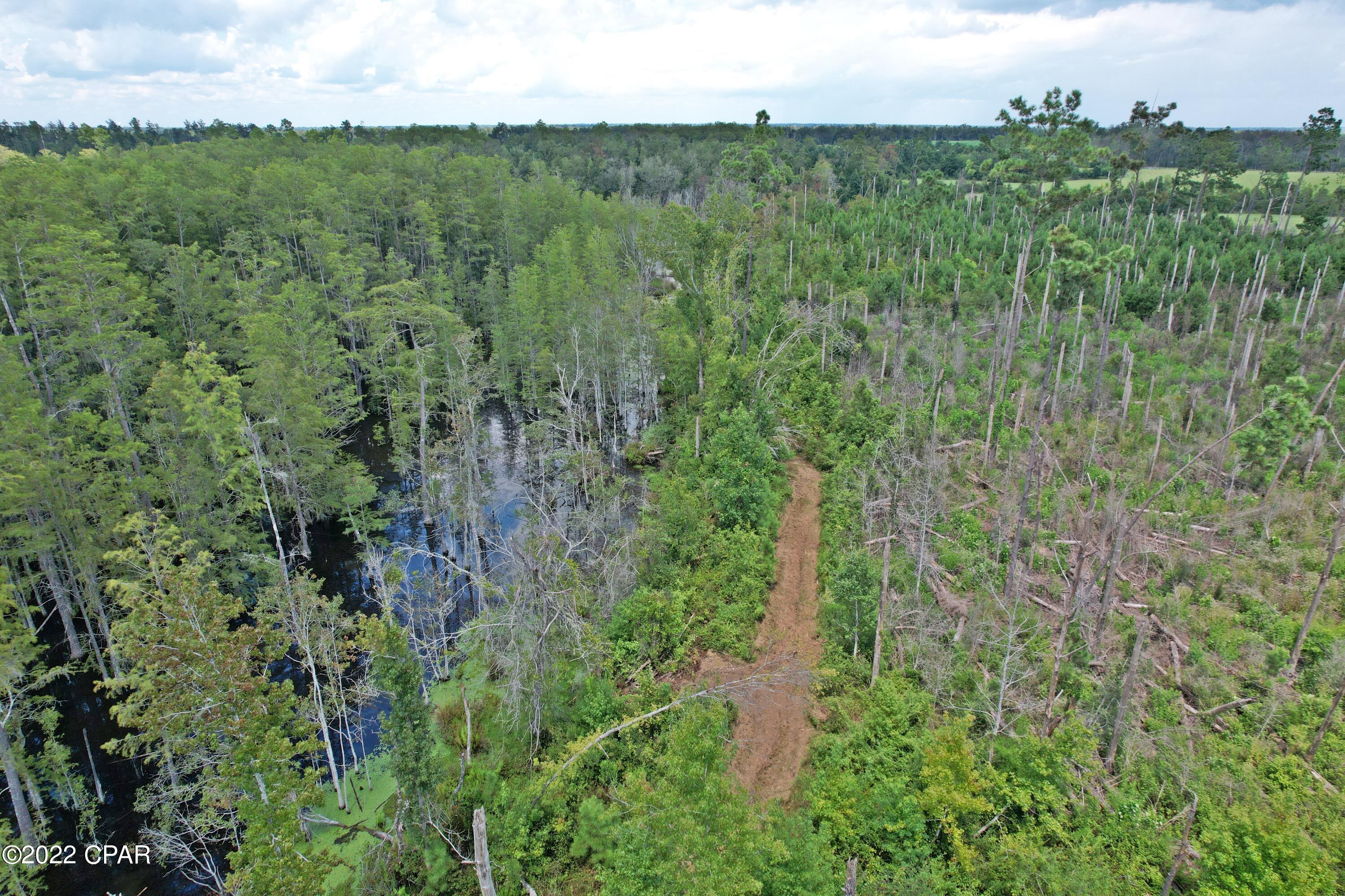 0 Perry Road Cottondale, FL 32431 - Photo 4 of 17