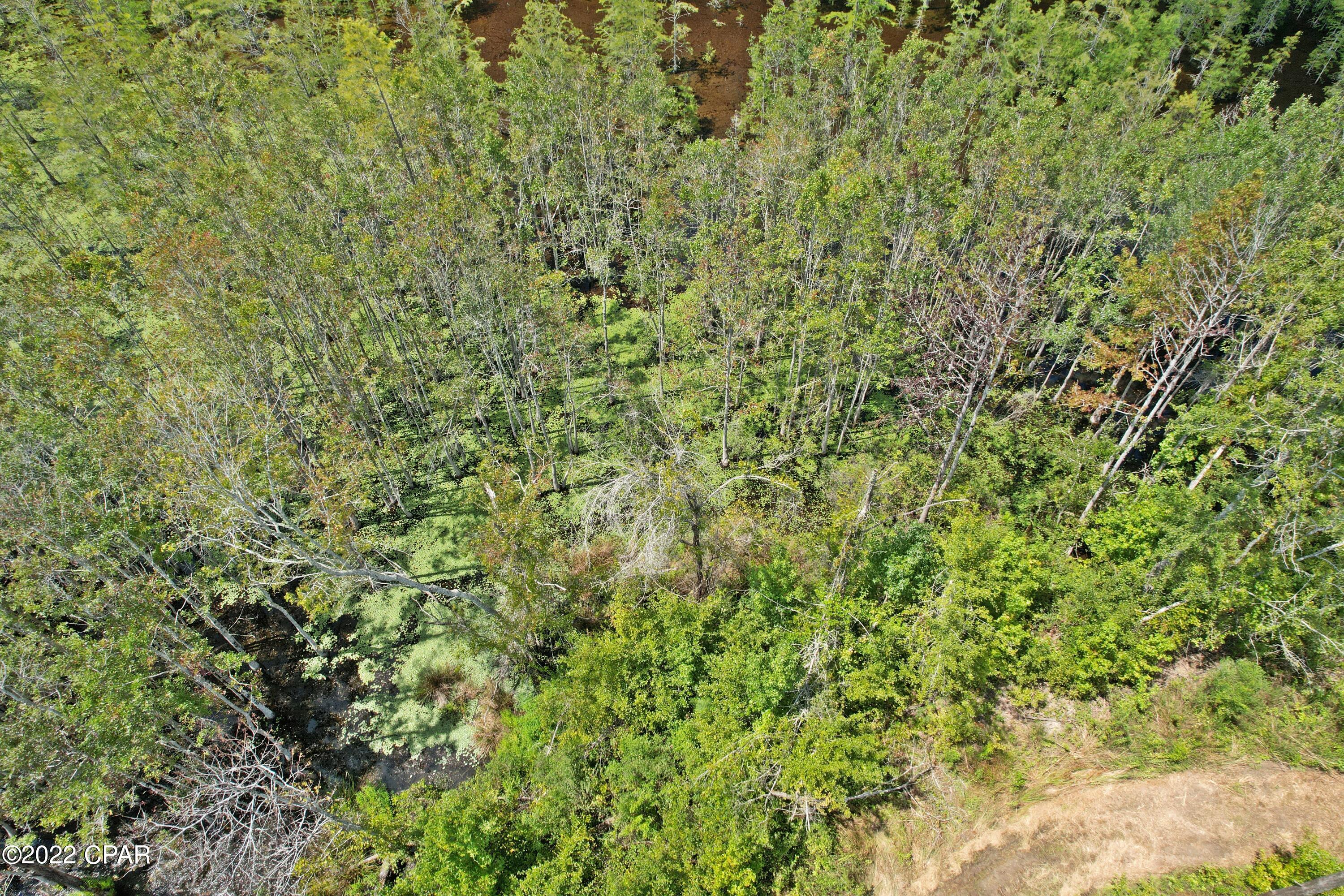 0 Perry Road Cottondale, FL 32431 - Photo 6 of 17