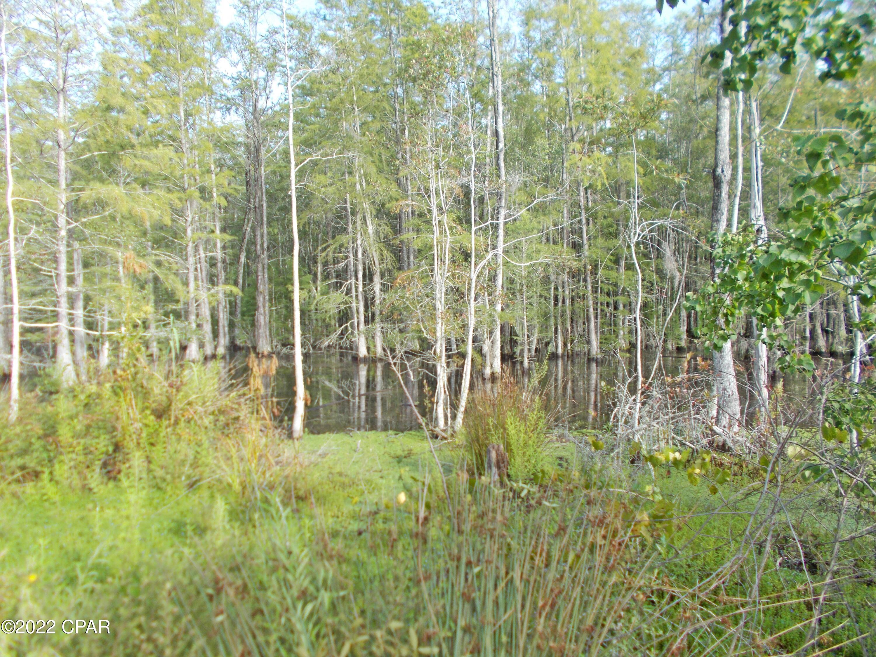 0 Perry Road Cottondale, FL 32431 - Photo 7 of 17