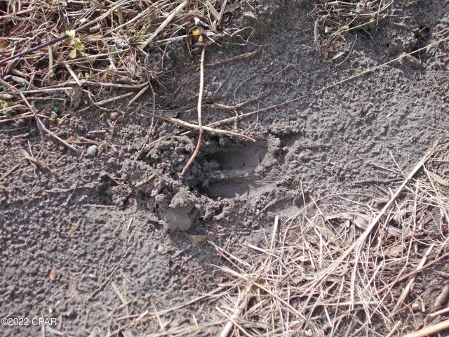 $160,000 | 0 Perry Road, Cottondale, FL 32431